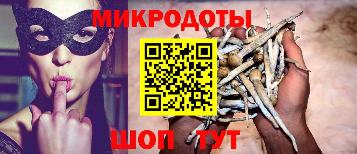 Унеча  Псилоцибиновые грибы Psilocybe  Вход с VPN 