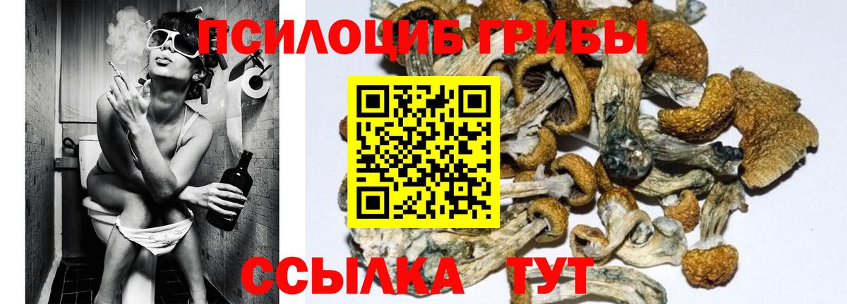 Псилоцибиновые грибы GOLDEN TEACHER Унеча